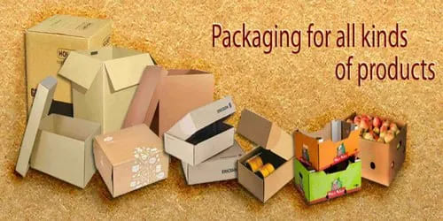 Corrugated Box Manufacturers in Himachal